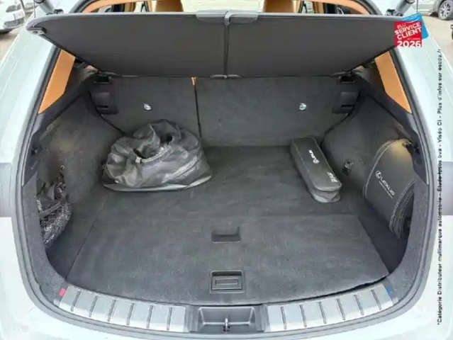 Lexus Nx 450h+ luxe 4wd — photo 29