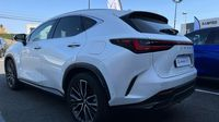 Lexus Nx 450h+ Executive 4WD — photo 7