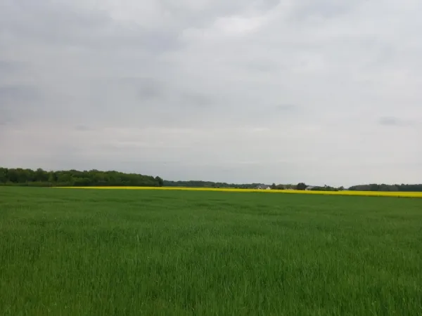 Terrain 2924 m²