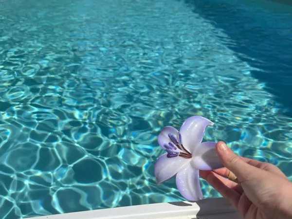 Maison avec piscine