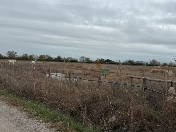 Terrain agricole 3,5 ha