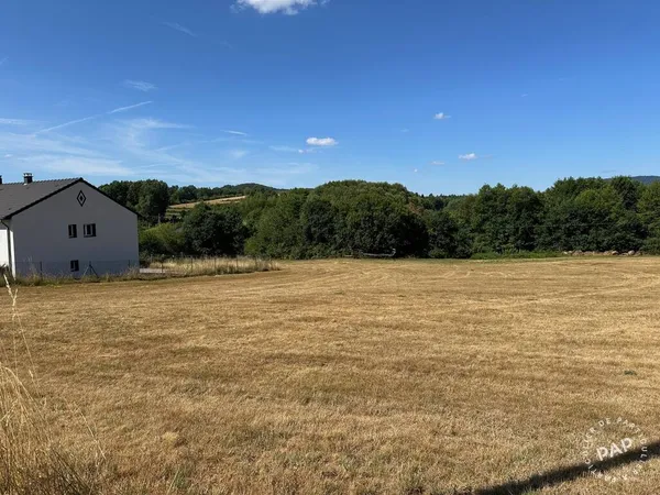 Terrain à bâtir Vente Remomeix   60000€