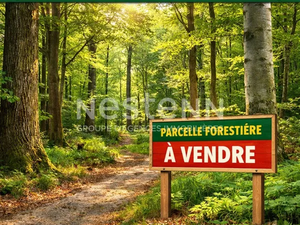 Terrain forestier Saint-martin-des-près 13435 m2