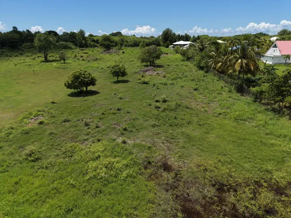 Rare sur le secteur : Parcelle d'exception de 4 000 m² pour grand projet