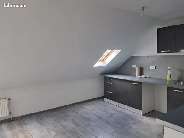 F3 rénové - Centre-ville Sarreguemines (quartier Allmend)