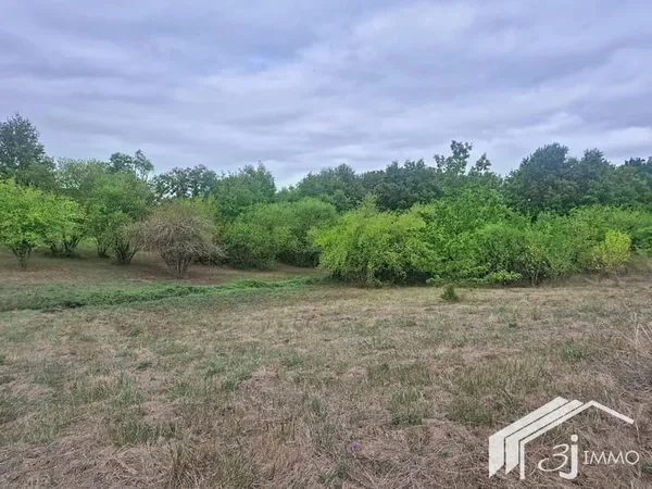 Terrain COX