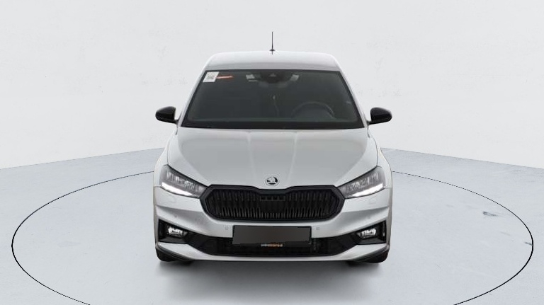 Skoda Fabia — photo 11