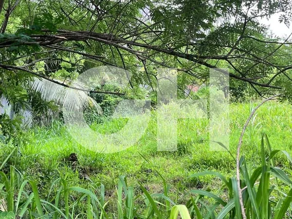 Terrain constructible 922 m²