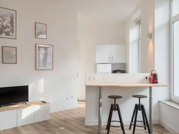 Loue grand studio - charme et lumière - meublé 38m², Lille centre