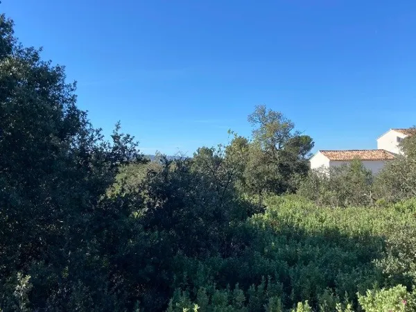 Terrain 1165 m²
