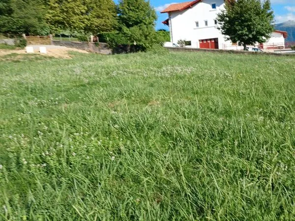 Terrain à bâtir