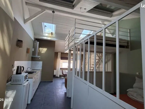 LOFT 2 PIECES climatisation + MEZZANINE PROCHE LYON PART DIEU