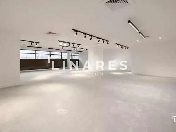 Local 1 pièce 154 m²