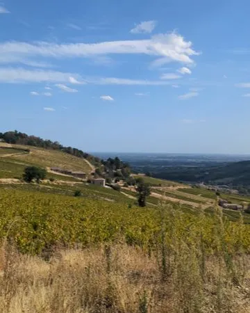 RARE TERRAIN DE LOISIRS 2 600 m² - VUE EXCEPTIONNELLE MONT BLANC - PRUZILLY (71)