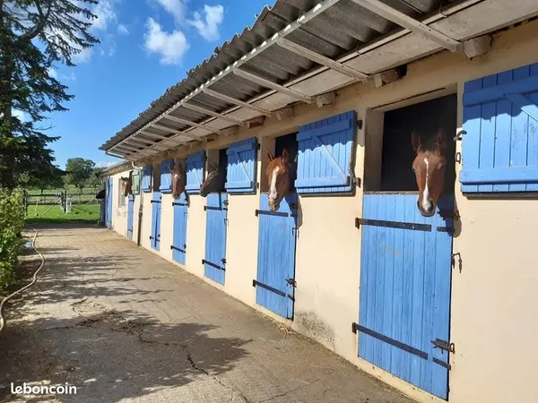 Charmante maison, grange et boxs