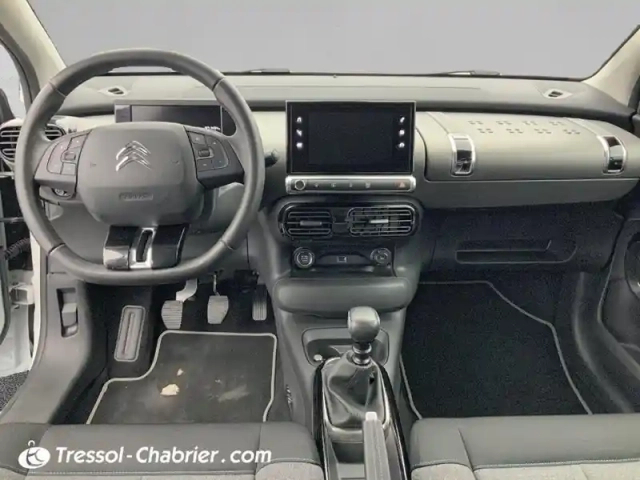Citroën C4 cactus puretech 110 s&amp;s bvm6 shine — photo 10