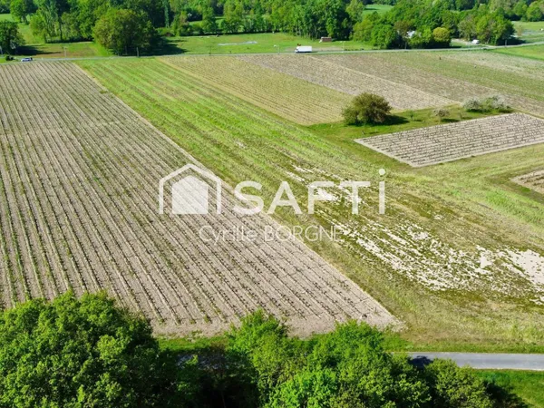 Superbes parcelles avec vignes entretenues et terres agricoles
