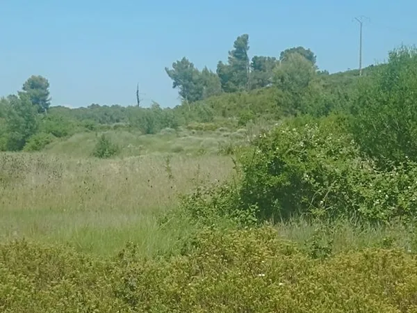 Vends terrains agricoles et de loisirs à grabels