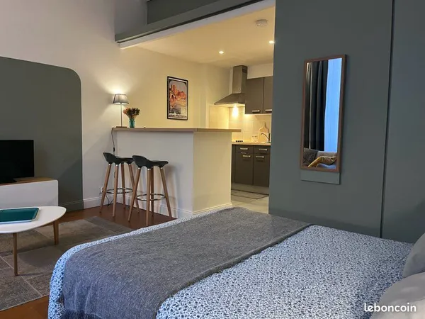 Joli 28m2 tout équipé et climatisé plein centre