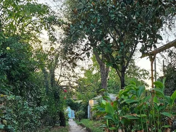 Maison à fort potentiel au calme à Cenon (33150) Cavailles