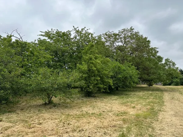 Terrain 700 m²