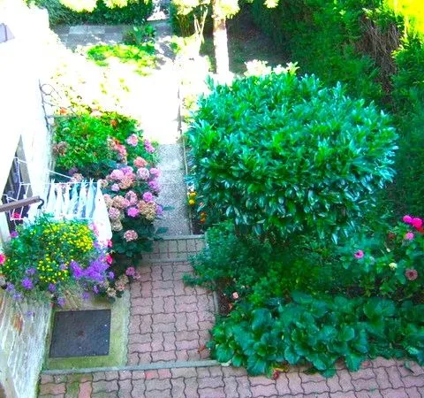 Ensemble immobilier 2 APPARTEMENTS A GOLBEY CENTRE VILLE ET SANS COPROPRIETE RARE