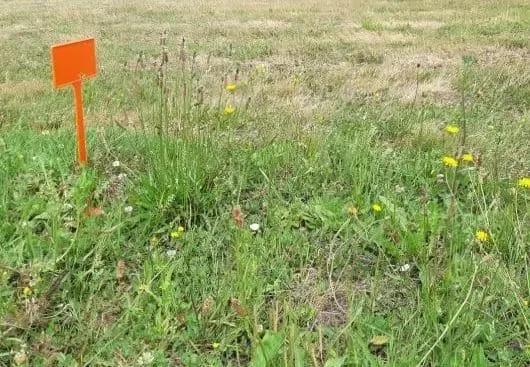Terrain 621 m²
