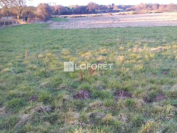 Terrain 1043 m²