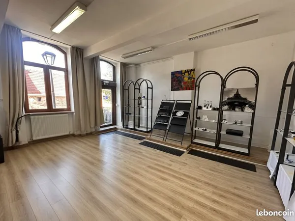 Locaux professionels