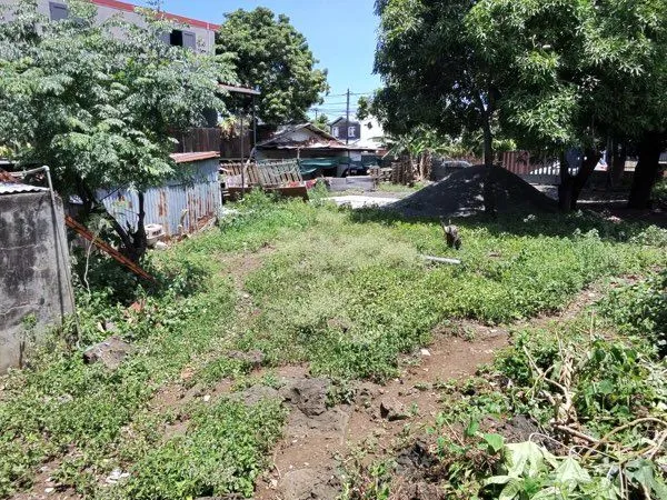 Terrain 242m2