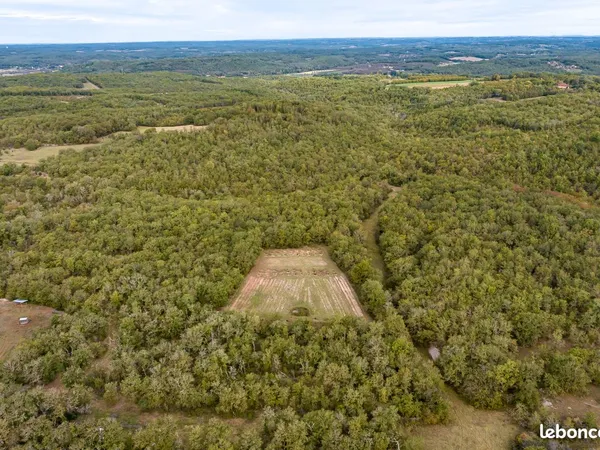 Terrain Truffière, Bois et Safranière