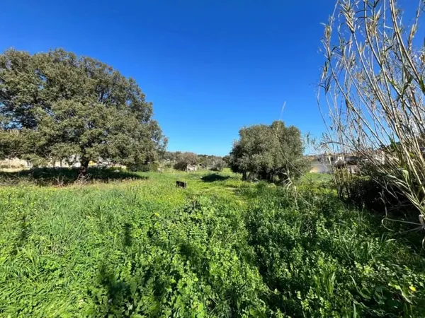 Terrain 1300 m²