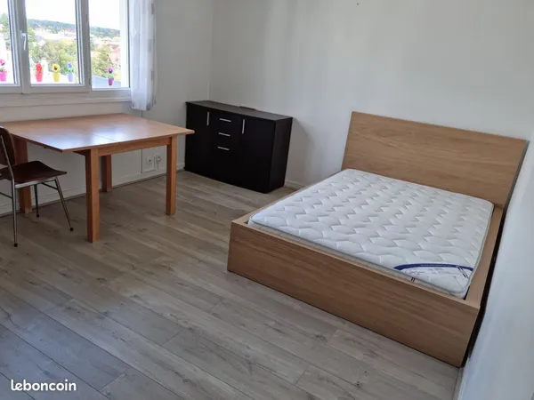 F1 MEUBLE 30m2 Olivet