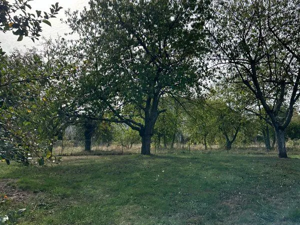 Terrain constructible