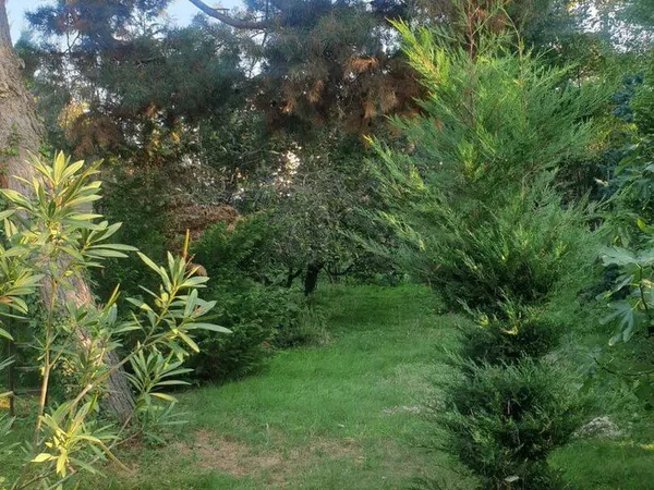 Terrain 280 m²