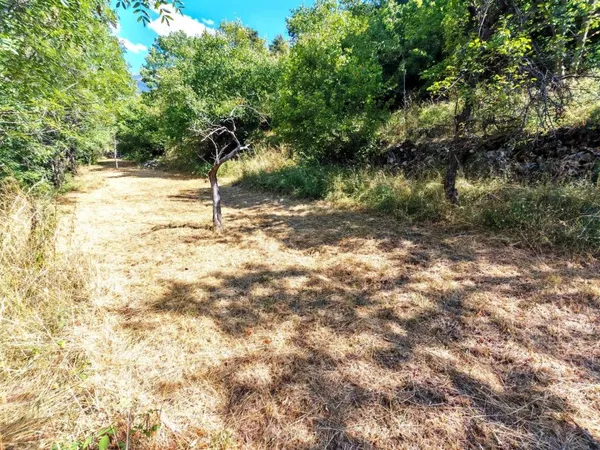 Terrain 1361 m²