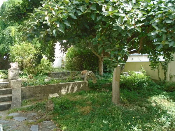 Maison 5 pièces 85 m²