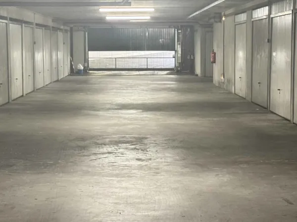 Stationnement Vente Lyon   60000€