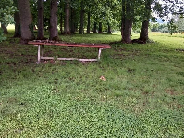 Terrain à bâtir + pâture