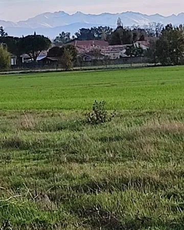 Terrain constructible