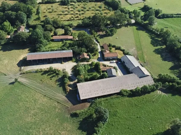 Ferme bio - Élevage allaitant de sélection limousine - 94Ha