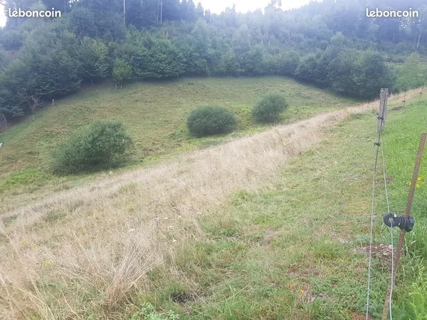 Terrain à bâtir