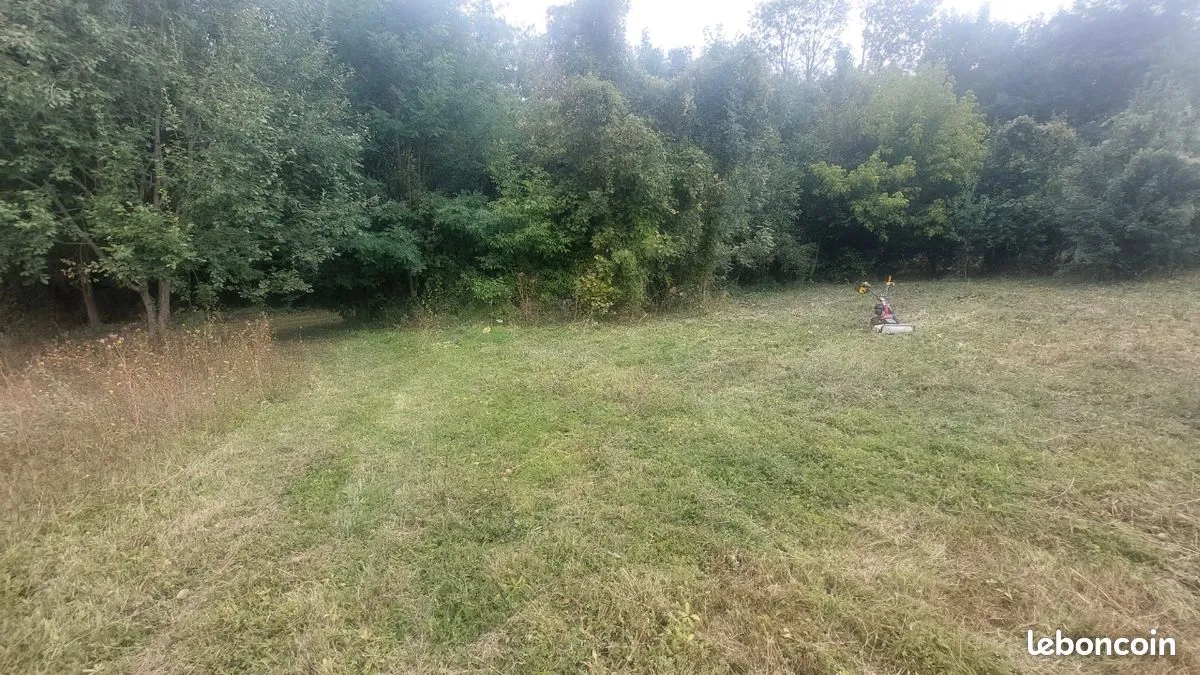 Photo 3