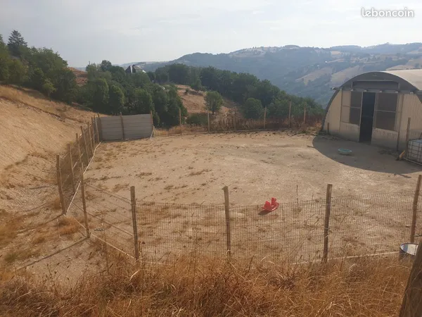 Terrain Agricole 7 Hectares avec Tunnels d'elevage