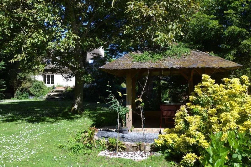 Photo 4
