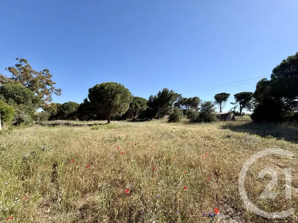 Terrain 443 m²