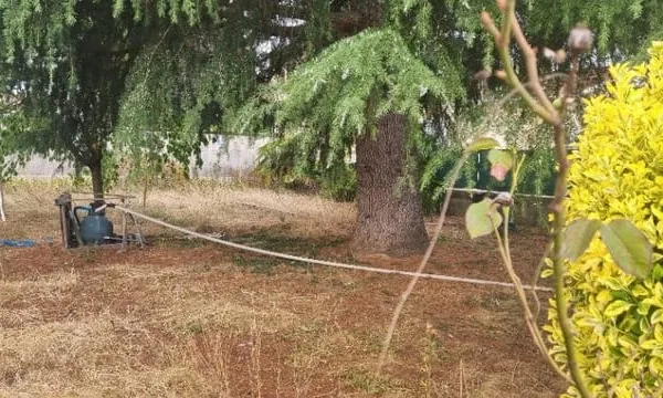 Terrain 504 m²
