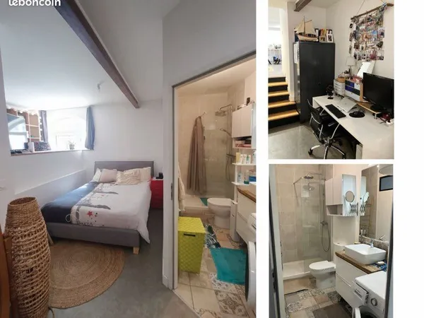 Appartement T2 type Loft