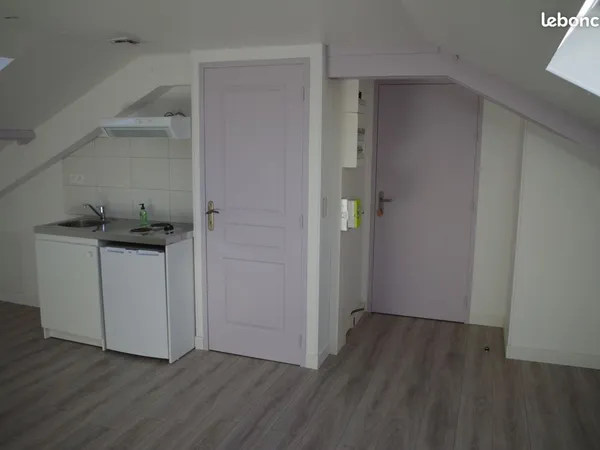 Studio entièrement rénové en centre-ville