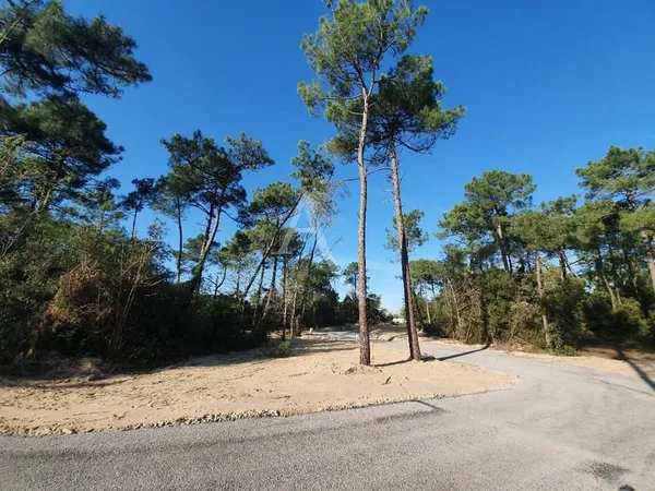 Terrain à bâtir